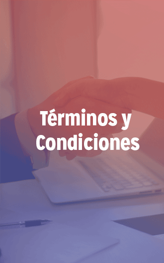 Términos y Condiciones